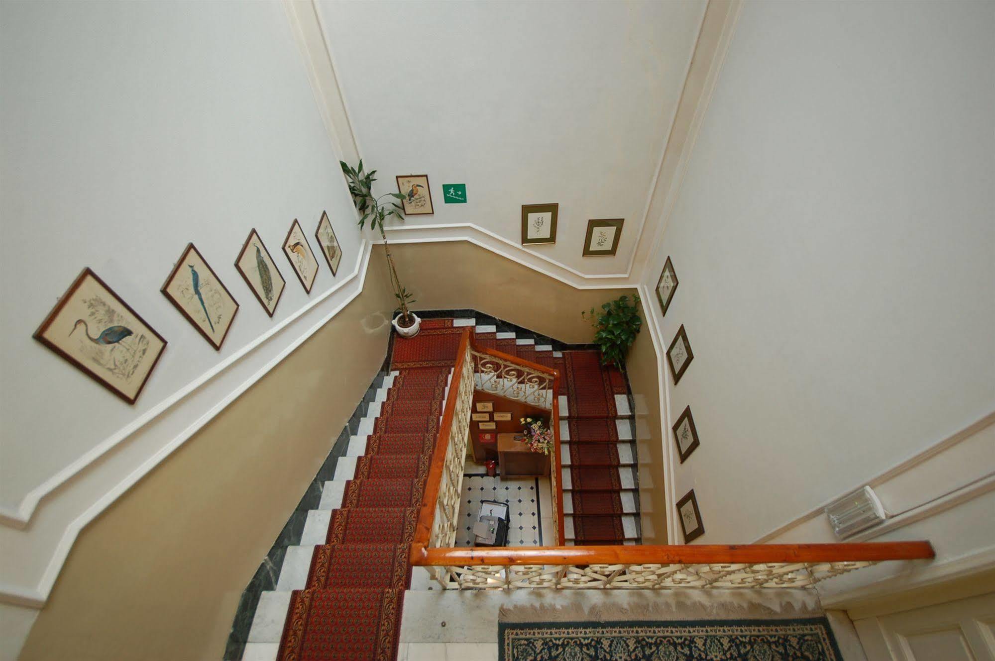 Hotel Ely Viareggio Bagian luar foto